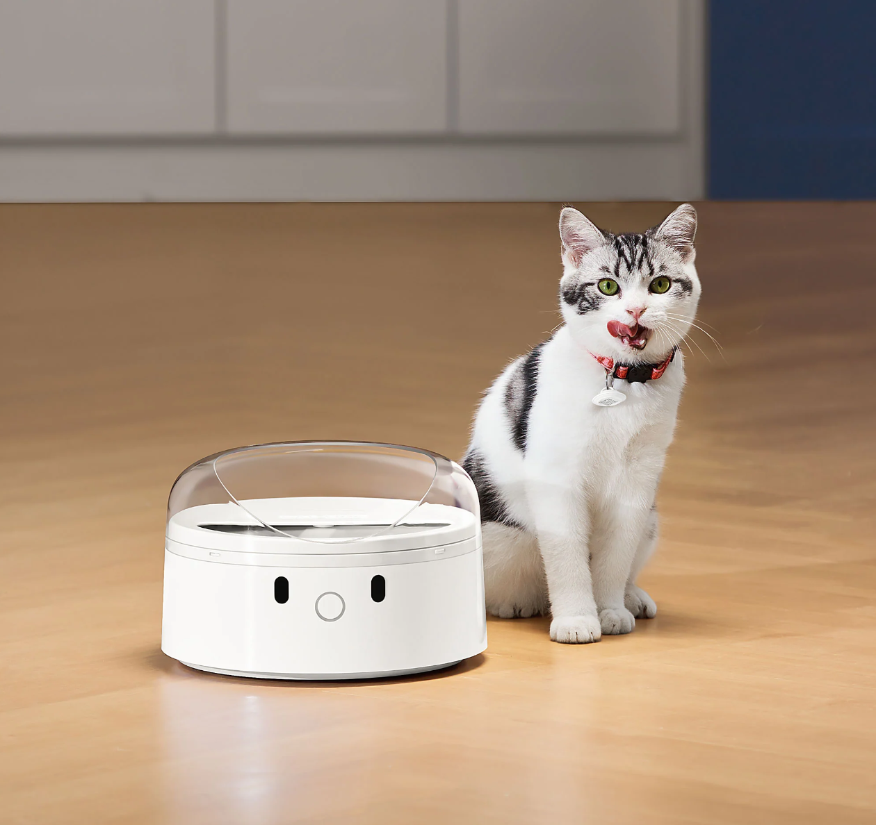 CATLINK pametni dozirnik hrane RFID s prepoznavo obraza F03