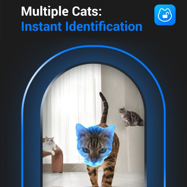 CATLINK pametni dozirnik hrane s prepoznavo obraza F02
