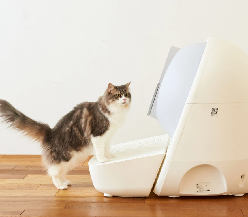 Stopnica za stranišče Catlink Luxury Pro-X