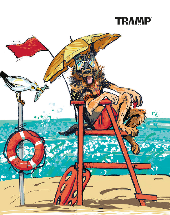 Tramp suha hrana za pse